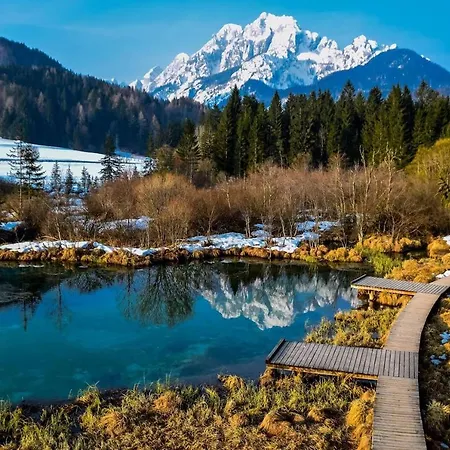 Alpeambient House Dovje Дом отдыха