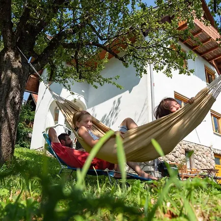 Alpeambient House Dovje *