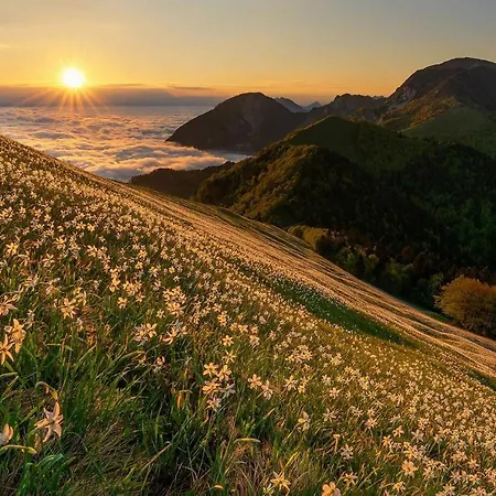 Дом отдыха Alpeambient House Dovje Мойстрана