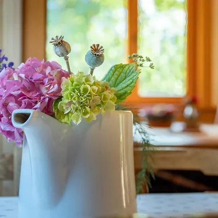 Alpeambient House Dovje * Мойстрана