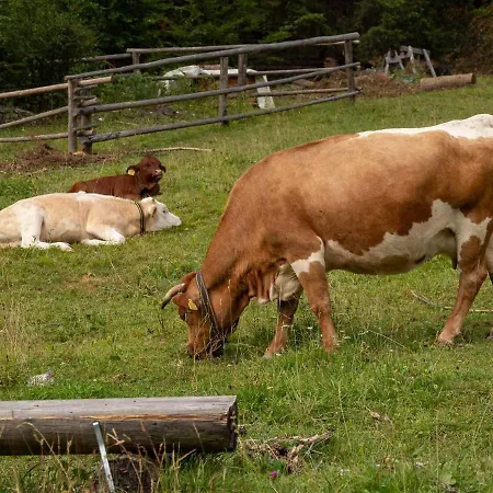 بيت للعطل Alpeambient House Dovje