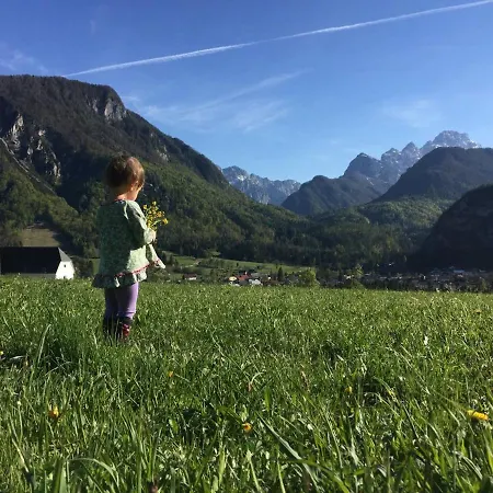 Alpeambient House Dovje * Мойстрана