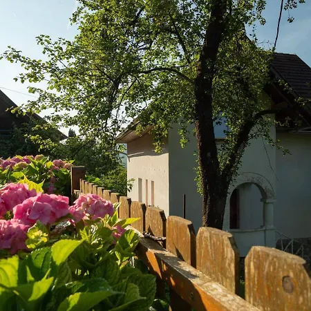 بيت للعطل Alpeambient House Dovje موجسترانا