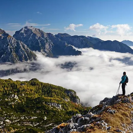 Сasa de vacaciones Alpeambient House Dovje Mojstrana
