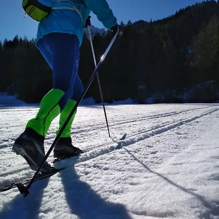 Alpeambient House Dovje Сasa de vacaciones Mojstrana