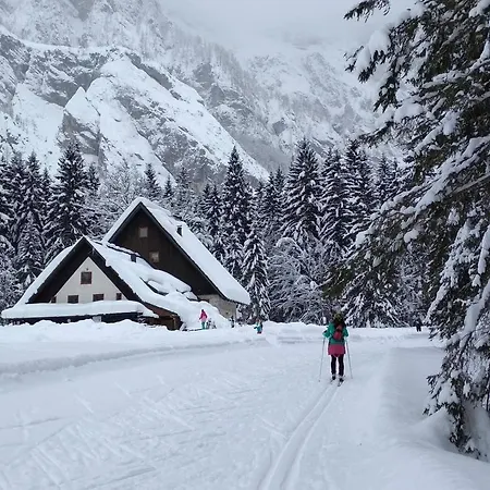 Holiday home Alpeambient House Dovje Mojstrana