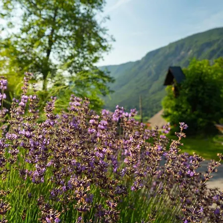 Holiday home Alpeambient House Dovje Mojstrana