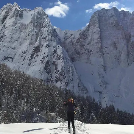Сasa de vacaciones Alpeambient House Dovje Mojstrana