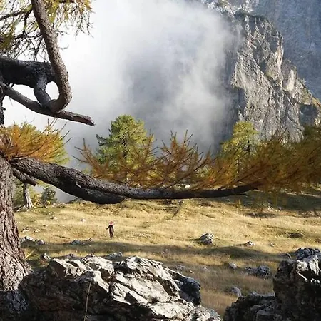 Сasa de vacaciones Alpeambient House Dovje Mojstrana