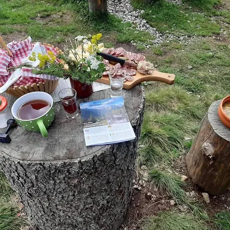 Alpeambient House Dovje Сasa de vacaciones *