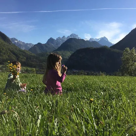 Сasa de vacaciones Alpeambient House Dovje