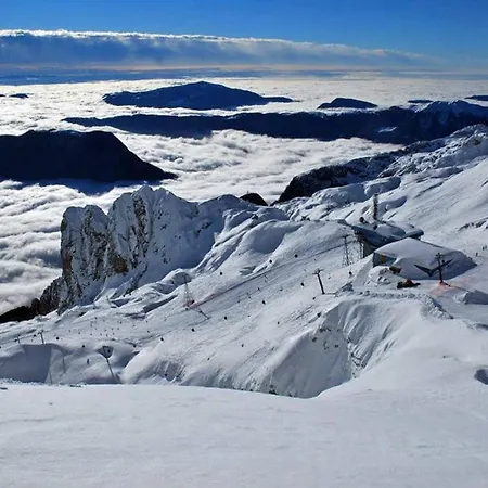 Alpeambient House Dovje * موجسترانا