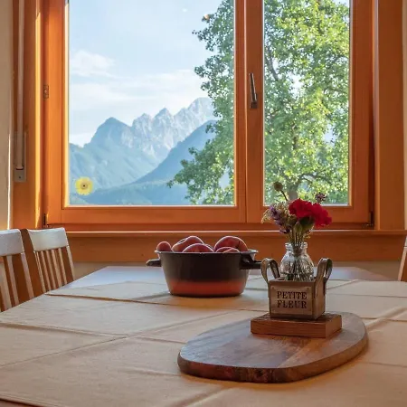 Alpeambient House Dovje Holiday home