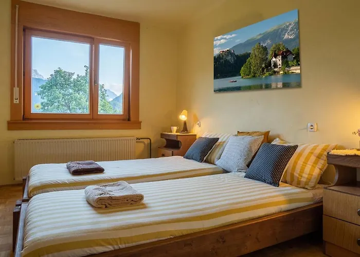 Ferienhaus Alpeambient House Dovje Mojstrana