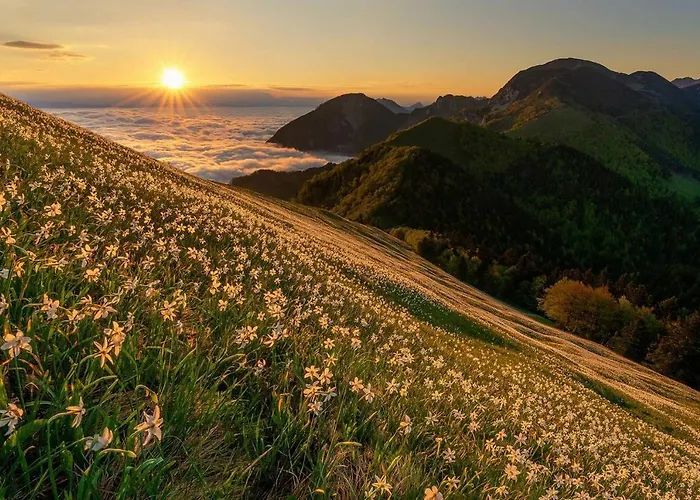 Ferienhaus Alpeambient House Dovje Mojstrana