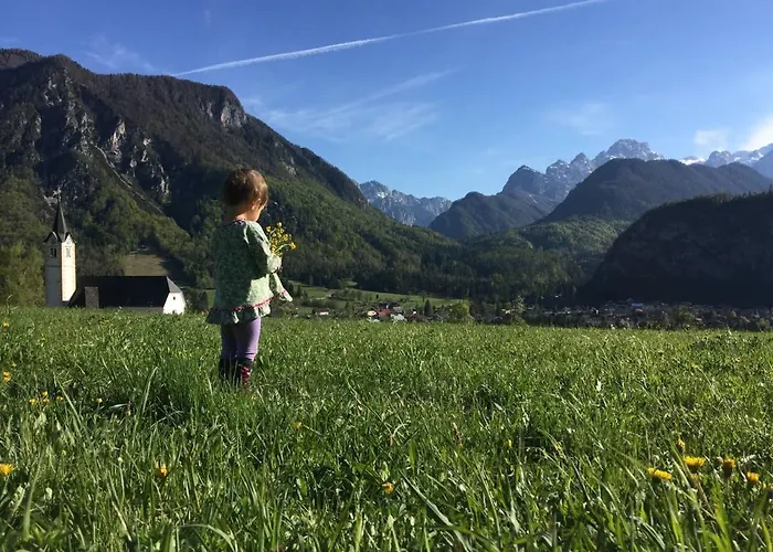 Alpeambient House Dovje * Mojstrana