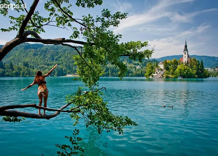 Alpeambient House Dovje Mojstrana