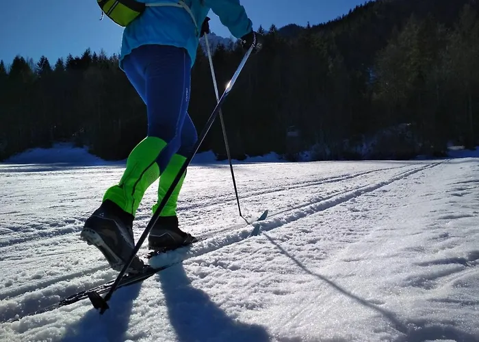 Alpeambient House Dovje Ferienhaus Mojstrana