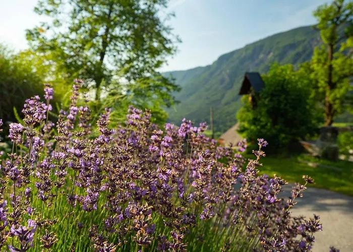 Ferienhaus Alpeambient House Dovje Mojstrana